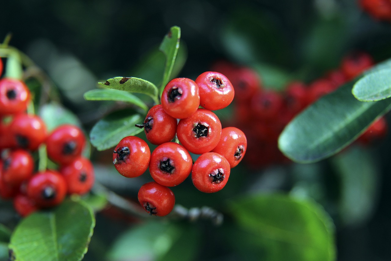 其身体恢复 其身体恢复