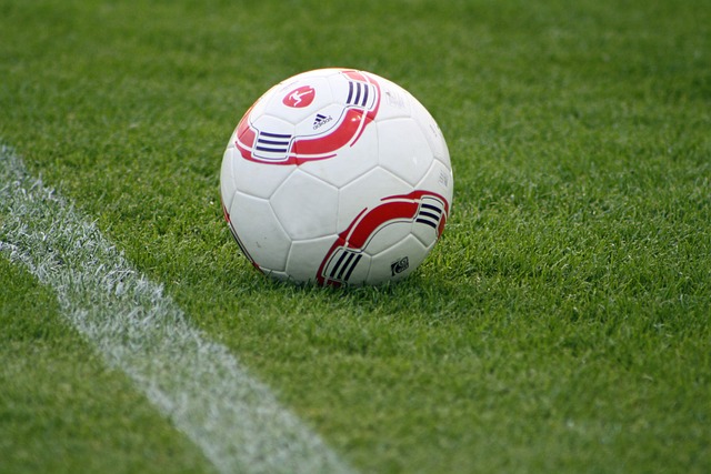 作为一场政 作为一场政