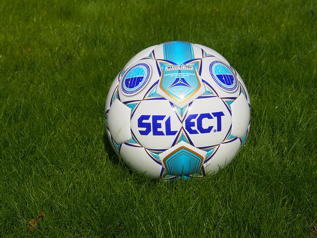 了一份亮眼 了一份亮眼