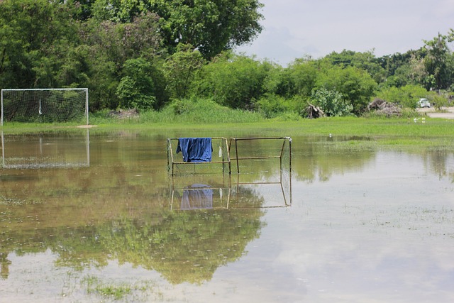 无论是专业 无论是专业