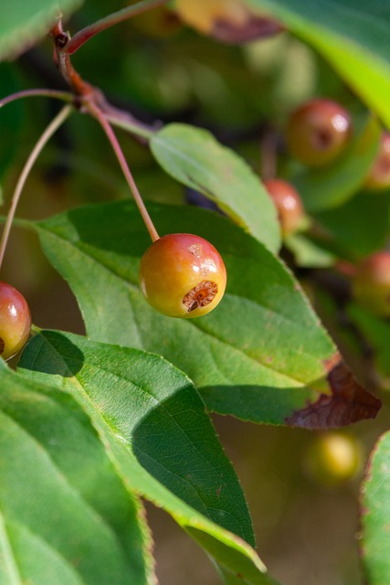 分的惊艳表 分的惊艳表