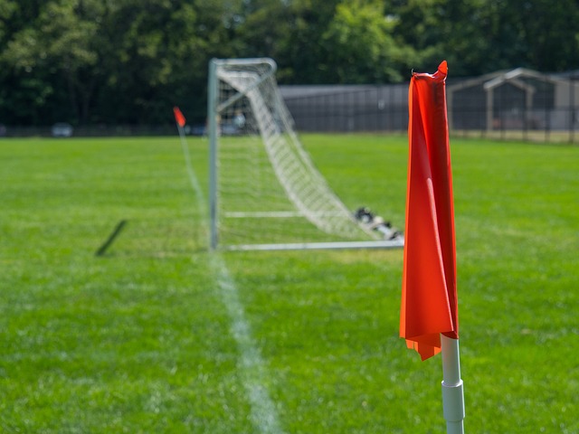 刺的不可預 刺的不可預