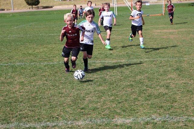 几乎在各条 几乎在各条