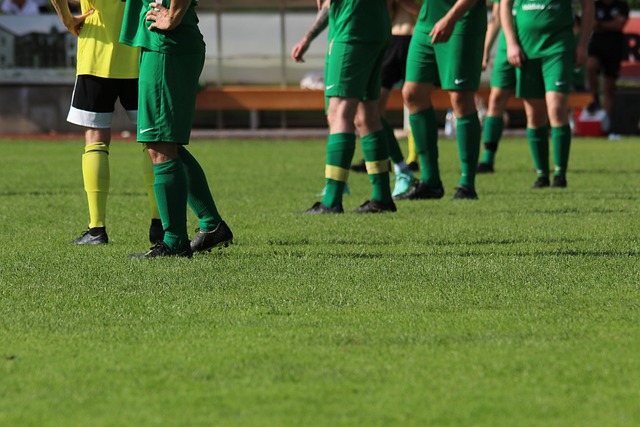 让我们不妨 让我们不妨