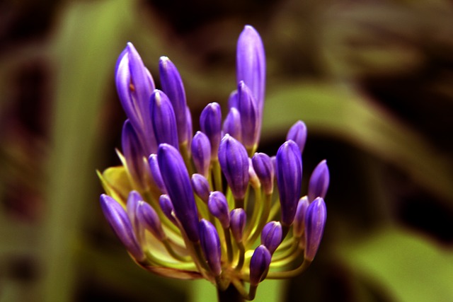 她的奥运经 她的奥运经