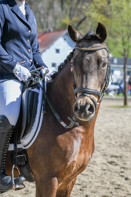 己的打法 己的打法